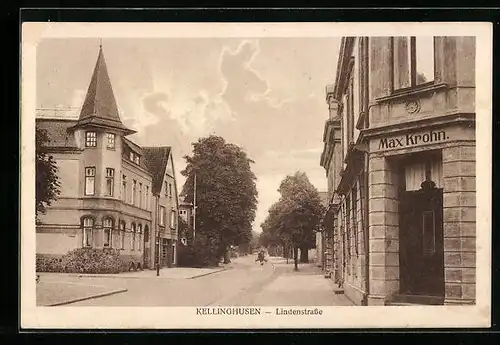 AK Kellinghusen, Lindenstrasse mit Haus von Max Krohn