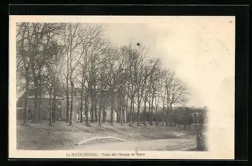 AK La Haye-Pesnel, Pace du Champ de foire