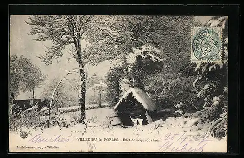 AK Villedieu-les-Poeles, Effet de neige sous bois