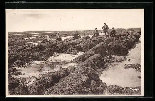 AK Surville, Vue prise de la Plage sur les Rochers de Surville