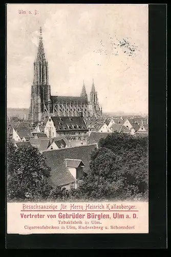 AK Ulm a. d. Donau, Münster im Stadtbild