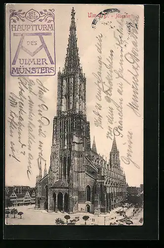 AK Ulm a. d. Donau, Münster im Sonnenschein