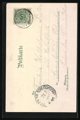 Lithographie Höchenschwand /Bad. Schwarzwald, Ortsansicht aus der Vogelschau, Paar in Tracht