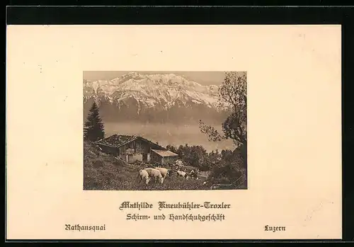 AK Reklame für Mathilde Kneubühler-Troxler, Schirm- und Handschuhgeschäft Luzern