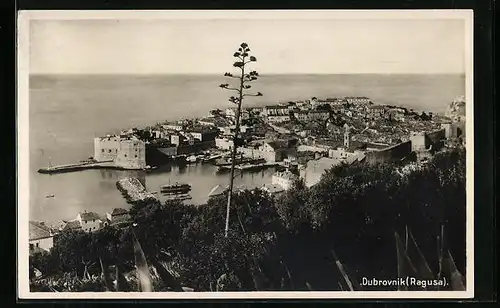 AK Dubrovnik /Ragusa, Ortsansicht aus der Vogelschau