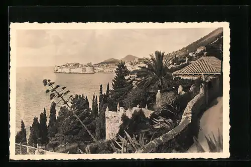 AK Dubrovnik, Ortspartie mit Bäumen und Gewässer