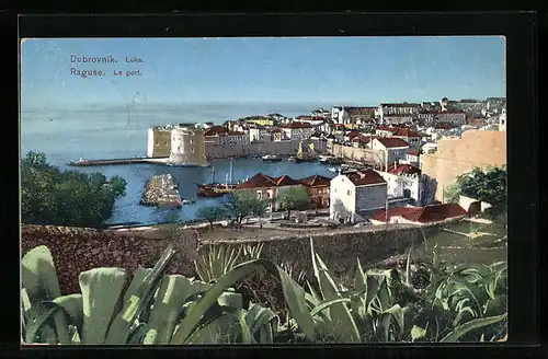 AK Dubrovnik, Luka, Hafenpartie mit Pflanzen