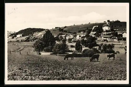 AK Mittelberg /bayr. Allgäu, Ortsansicht mit Kuhweide