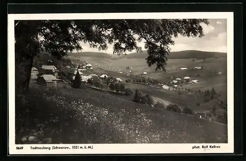 AK Todtnauberg /Schwarzw., Gesamtansicht mit Landschaft