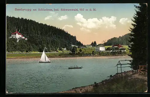 AK Seebrugg am Schluchsee, Uferpartie mit Gebäuden und Segelboot