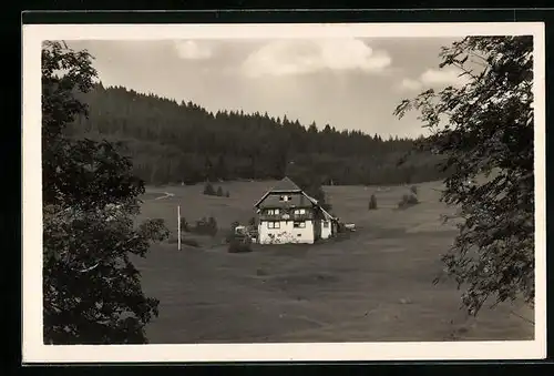 AK Fischbach /bad. Schwarzw., Pension Alpenblick, Inh. Wilhelm Schwörer