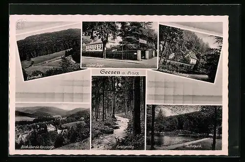 AK Seesen a. Harz, Gasthaus Grüner Jäger, Forellenstieg, Im Kurpark