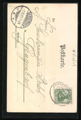 Lithographie Freiburg i. B., Münster vom Schlossberg aus