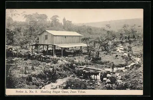 AK Juan Vinas, Hauling Sugar Cane