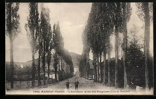 AK Massiac, L`Ancienne Allée des Peupliers