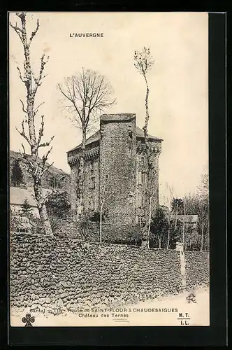 AK Saint-Flour à Chaudesaigues, Chateau des Ternes