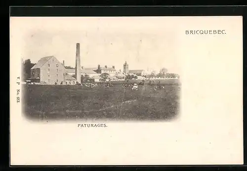 AK Bricquebec, Paturages