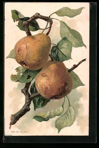 Präge-AK Zwei reife Birnen an einem Zweig