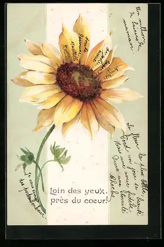Präge-AK Sonnenblume mit grosser Blüte und Blattgrün