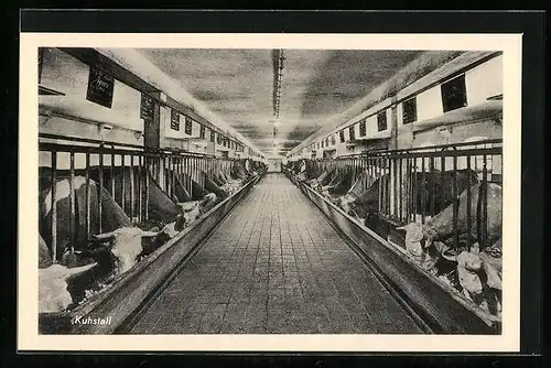 AK Triesdorf, Ackerbauschule, Kuhstall