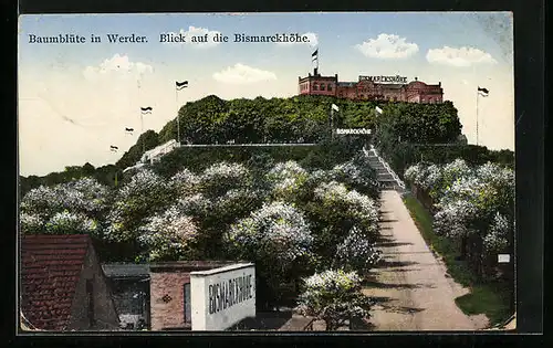 AK Werder / Havel, Hotel-Restaurant Bismarckhöhe