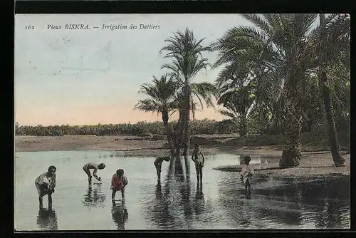AK Biskra, Irrigation des Dattiers