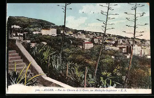 AK Alger, Vue du Chemin de la Croix sur Mustapha-Supérieur
