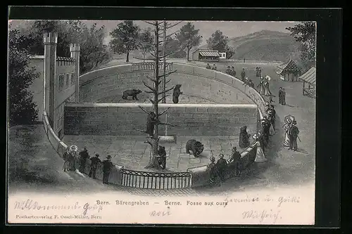 AK Bern, Bärengraben aus der Vogelschau