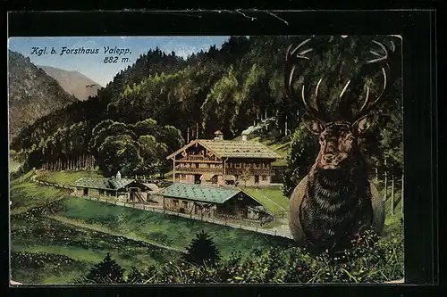 AK Valepp, Kgl. b. Forsthaus und Hirsch