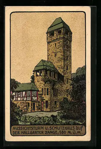 Steindruck-AK Hallgarten /Rheingau, Aussichtsturm und Schutzhaus auf der Hallgarter Zange