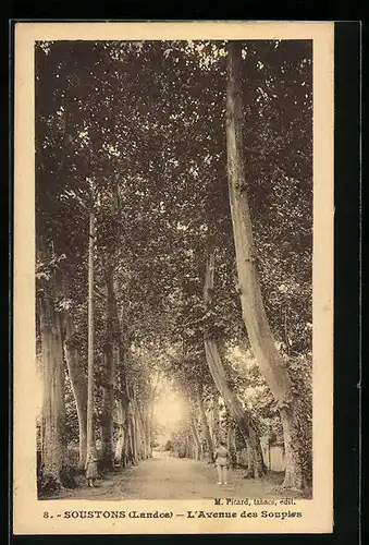 AK Soustons, L`Avenue des Soupies