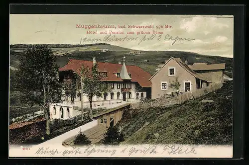 AK Muggenbrunn im bad. Schwarzwald, Hotel und Pension zum grünen Baum