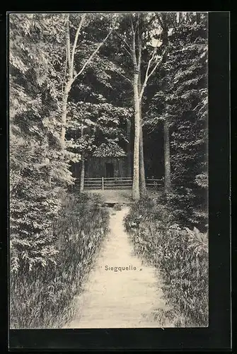 AK Netphen, An der Siegquelle