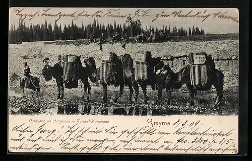 AK Smyrne, Kameel-Karawane