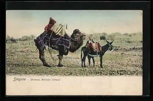 AK Smyrne, Chameau Pehlavan (lutteur)