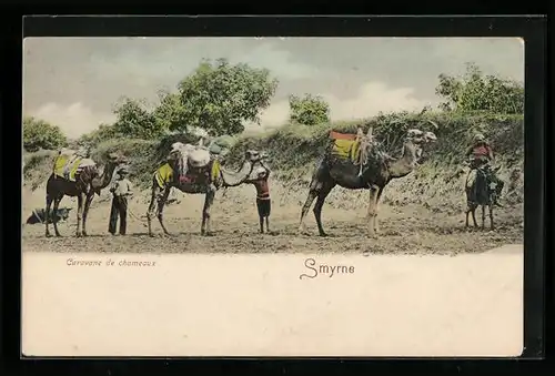 AK Smyrne, Caravane de chameaux