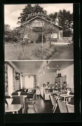 AK Frauenwald /Rstg., HO-Cafe Milchbar, Innenansicht
