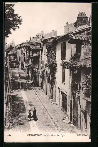 AK Périgueux, La Rue du Lys