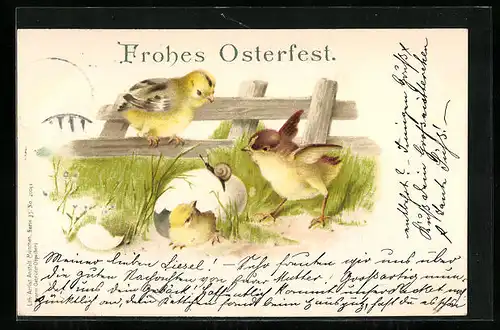 AK Ostergruss mit schlüpfendem Osterküken