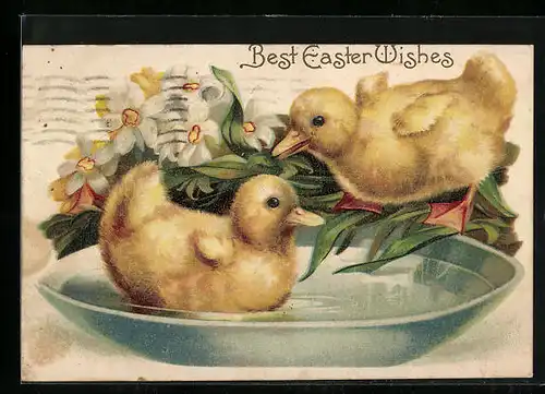 AK Osterküken schwimmen in einer Schale