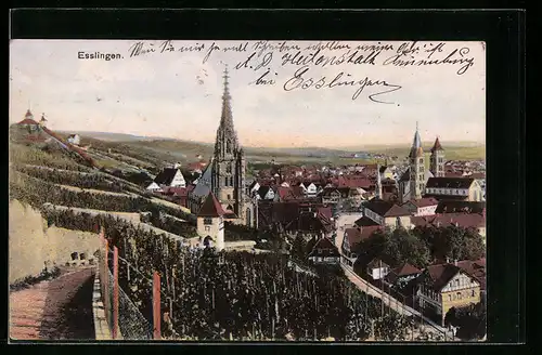 AK Esslingen, Ortsansicht mit Weinterrassen