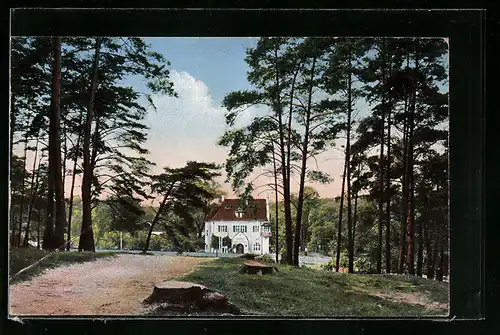AK Berlin-Grunewald, Restaurant Königliches Forsthaus Paulsborn mit Umgebung