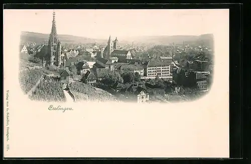 AK Esslingen, Teilansicht mit Kirchen