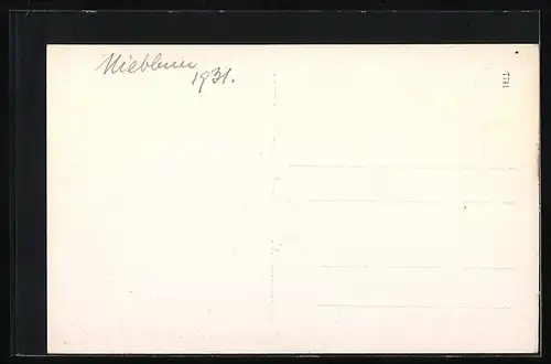 AK Nieblum, Reetdachhaus 1931