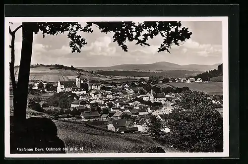 AK Grafenau /Bayr. Ostmark, Ortsansicht mit Kirche