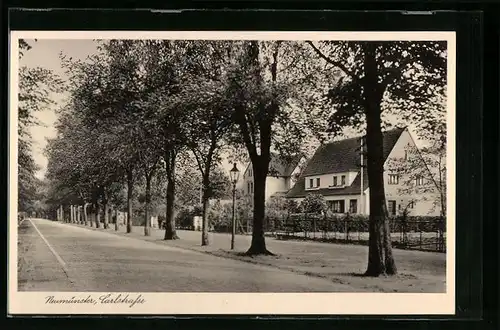 AK Neumünster, Blick in die Carlstrasse