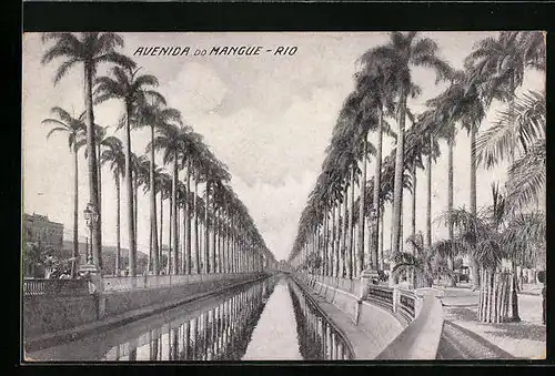 AK Rio, Avenida do Mangue