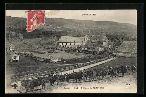 AK Cropière, Château de Cropière