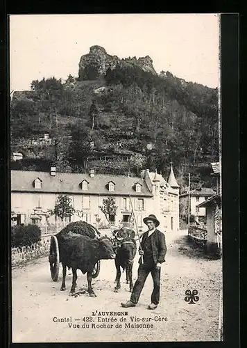 AK Vic-sur-Cère, Vue du Rocher de Maisonne