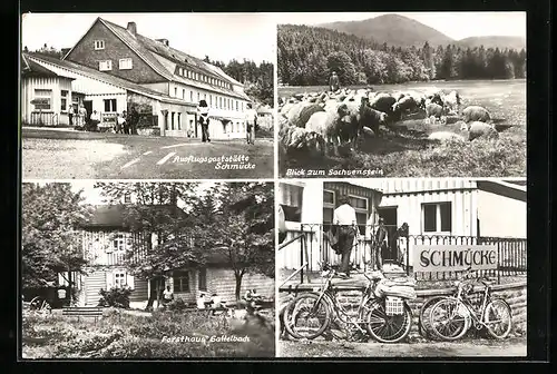 AK Schmücke, Ausflugsgaststätte Schmücke, Blick zum Sachsenstein, Forsthaus Sattelbach